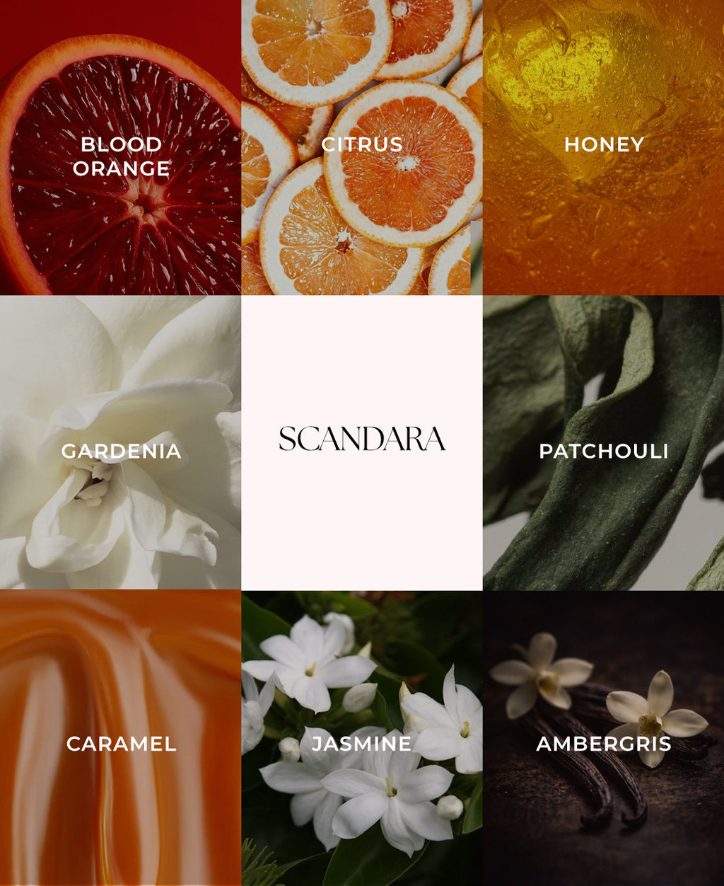 Scandara